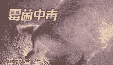 小猪呕吐用什么药