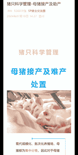 母猪产仔要注意什么