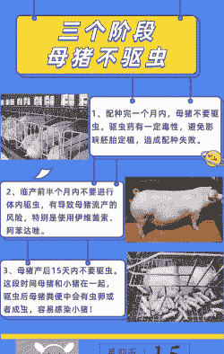 母猪什么时候可以驱虫