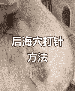 猪拉肚打什么针