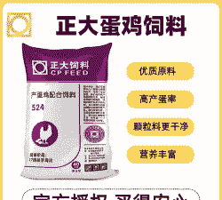 正大为什么养蛋鸡