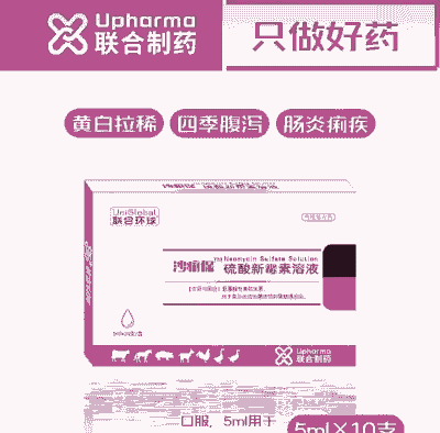 仔猪黄白痢用什么药