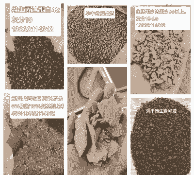 饲料主要原料是什么