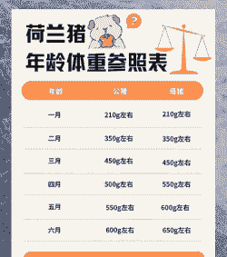 猪的健康有什么标准