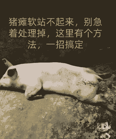 猪全身发抖什么原因