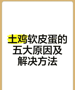 鸡为什么会下软皮蛋