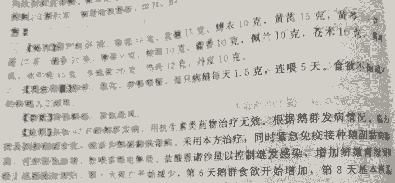 鹅副粘病毒病吃什么药