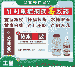 猪拉黄痢打什么药