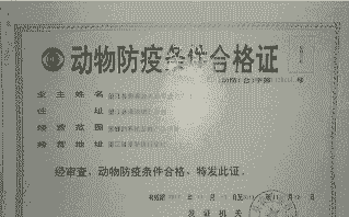 养牛场需要办什么证件