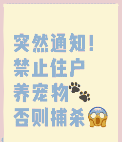 禁养区什么也不能养吗