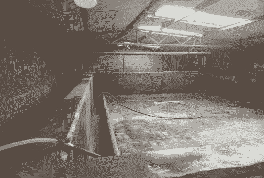 废弃养猪场可以做什么