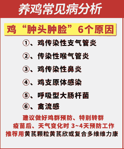 鸡肿头肿脸是什么病症