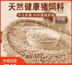 十斤小猪吃什么饲料好