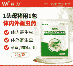 母猪什么时候喂打虫药