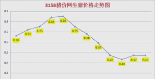 猪价外三元是什么意思