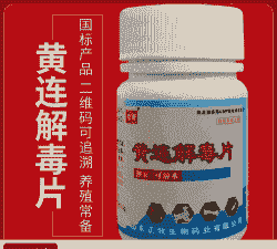 鸡瘦是什么原因用什么药