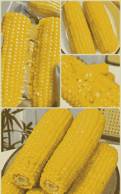 东北 玉米 为什么