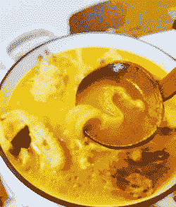 蛋鸡吃什么食疗