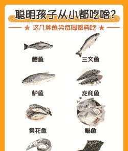 可以喂鱼吃什么