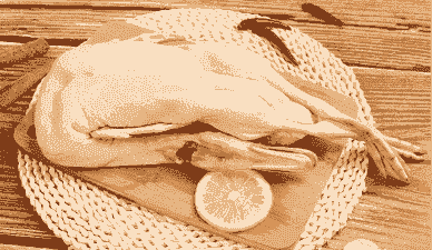 什么家禽能解暑