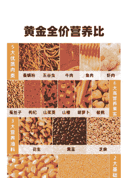 饲料都有什么饲料