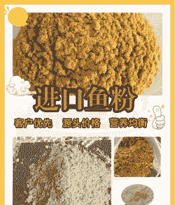 鱼粉使用什么养殖