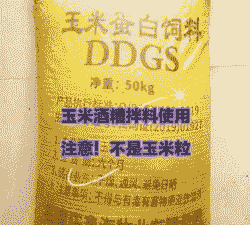 ddgs代表什么饲料