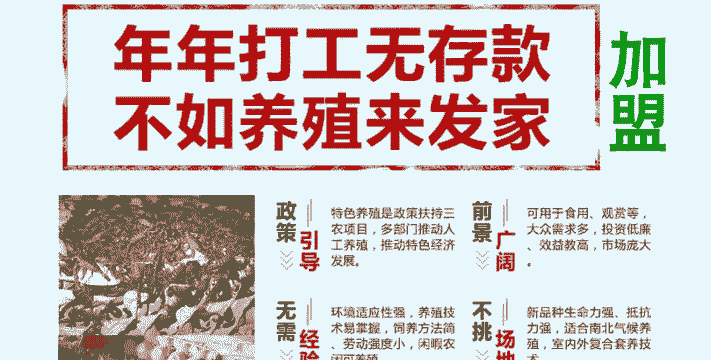 加盟什么养殖赚钱