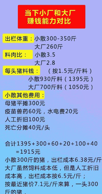 养猪为什么亏本