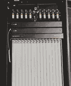 什么叫终端父本