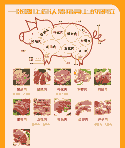 猪肉属于什么行业