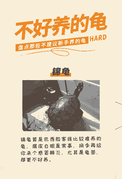 养殖什么不好养