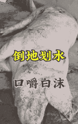 猪仔脱水什么症状