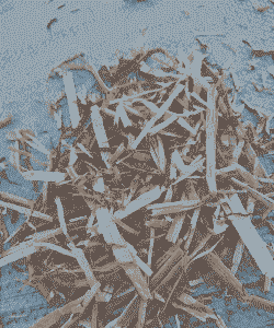 牛羊用什么中药