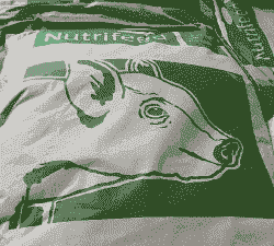 乳清粉是什么饲料