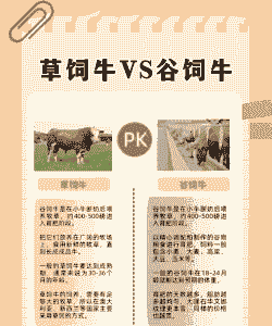 养牛有什么优点