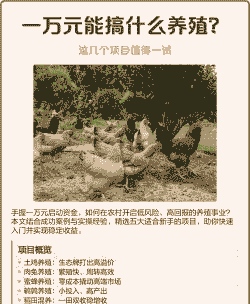 搞什么养殖最好