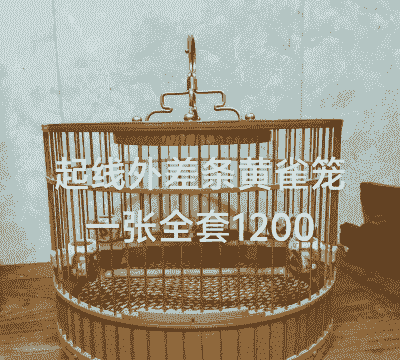 黄雀适合什么笼子