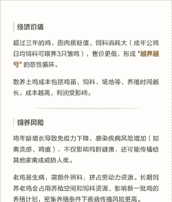 养鸡存在什么风险