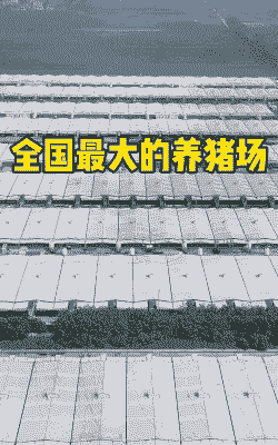 什么是养殖大户