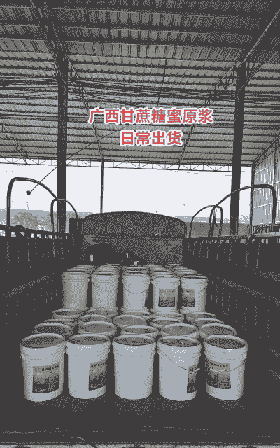 糖蜜属于什么饲料