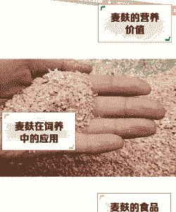 麦麸是什么原料