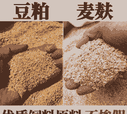 什么叫膨化豆粕