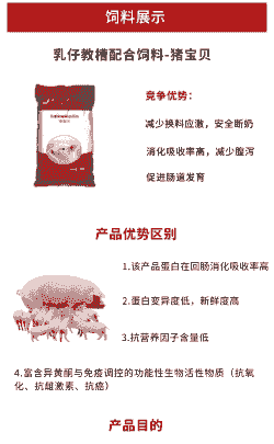 什么牌子乳猪教