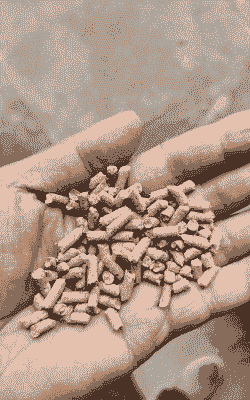 湖南什么饲料最好