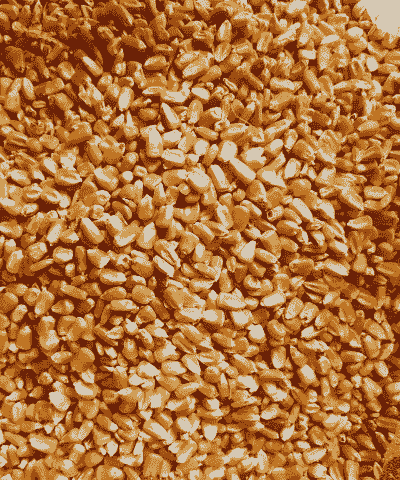 畜产原料有什么