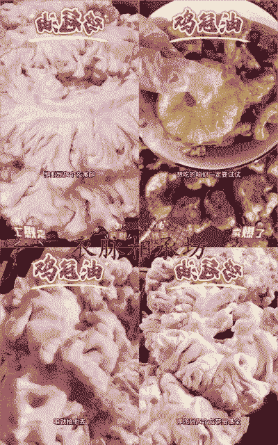 肉鸡用什么油脂