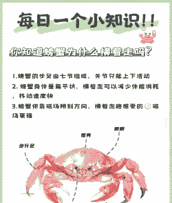 螃蟹为什么过冬