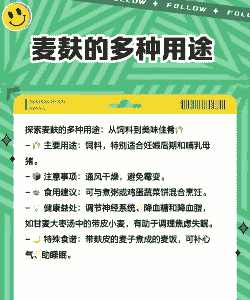 饲料用什么好处