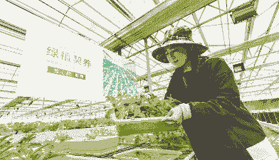 在涡阳种什么赚钱